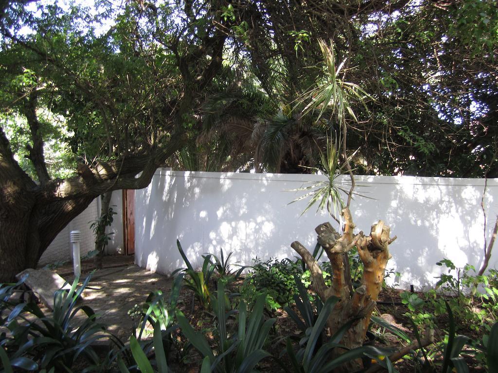 Applegarth B&B And Self-Catering Studios Kapstadt Exterior foto